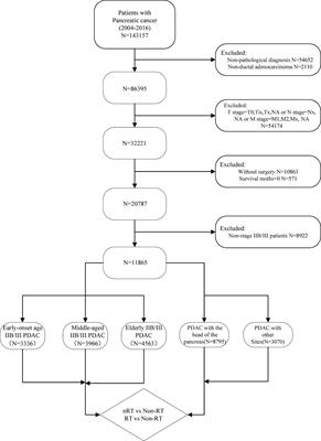 The Survival Effect of Radiotherapy on Stage IIB/III Pancreatic Cancer Undergone Surgery in Different Age and Tumor Site Groups: A Propensity Scores Matching Analysis Based on SEER Database